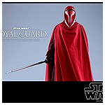 Hot-Toys-MMS469-Return-of-the-Jedi-Royal-Guard-013.jpg