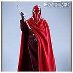 Hot-Toys-MMS469-Return-of-the-Jedi-Royal-Guard-014.jpg
