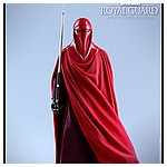 Hot-Toys-MMS469-Return-of-the-Jedi-Royal-Guard-015.jpg
