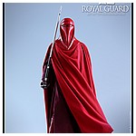 Hot-Toys-MMS469-Return-of-the-Jedi-Royal-Guard-016.jpg