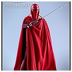 Hot-Toys-MMS469-Return-of-the-Jedi-Royal-Guard-017.jpg