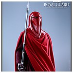 Hot-Toys-MMS469-Return-of-the-Jedi-Royal-Guard-018.jpg