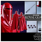 Hot-Toys-MMS469-Return-of-the-Jedi-Royal-Guard-019.jpg