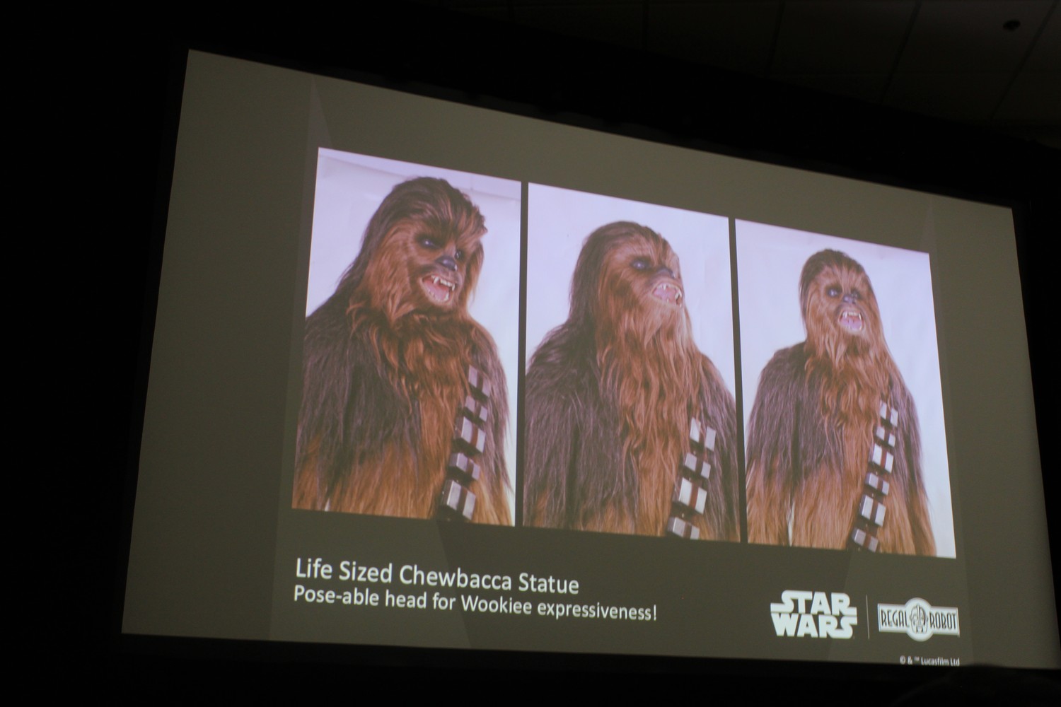 star-wars-collector-panel-073.jpg