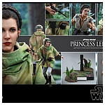 hot-toys-sw6-princess-leia-005.jpg