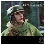 hot-toys-sw6-princess-leia-wicket-mms551-001.jpg