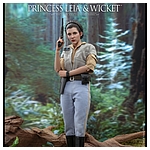 hot-toys-sw6-princess-leia-wicket-mms551-004.jpg