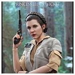 hot-toys-sw6-princess-leia-wicket-mms551-005.jpg