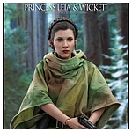 hot-toys-sw6-princess-leia-wicket-mms551-006.jpg