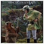 hot-toys-sw6-princess-leia-wicket-mms551-008.jpg