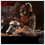 hot-toys-sw6-princess-leia-wicket-mms551-011.jpg