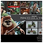 hot-toys-sw6-princess-leia-wicket-mms551-013.jpg