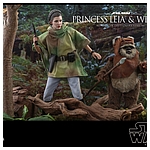 hot-toys-sw6-princess-leia-wicket-mms551-017.jpg