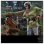 hot-toys-sw6-princess-leia-wicket-mms551-019.jpg