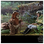 hot-toys-sw6-princess-leia-wicket-mms551-020.jpg