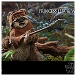 hot-toys-sw6-princess-leia-wicket-mms551-022.jpg