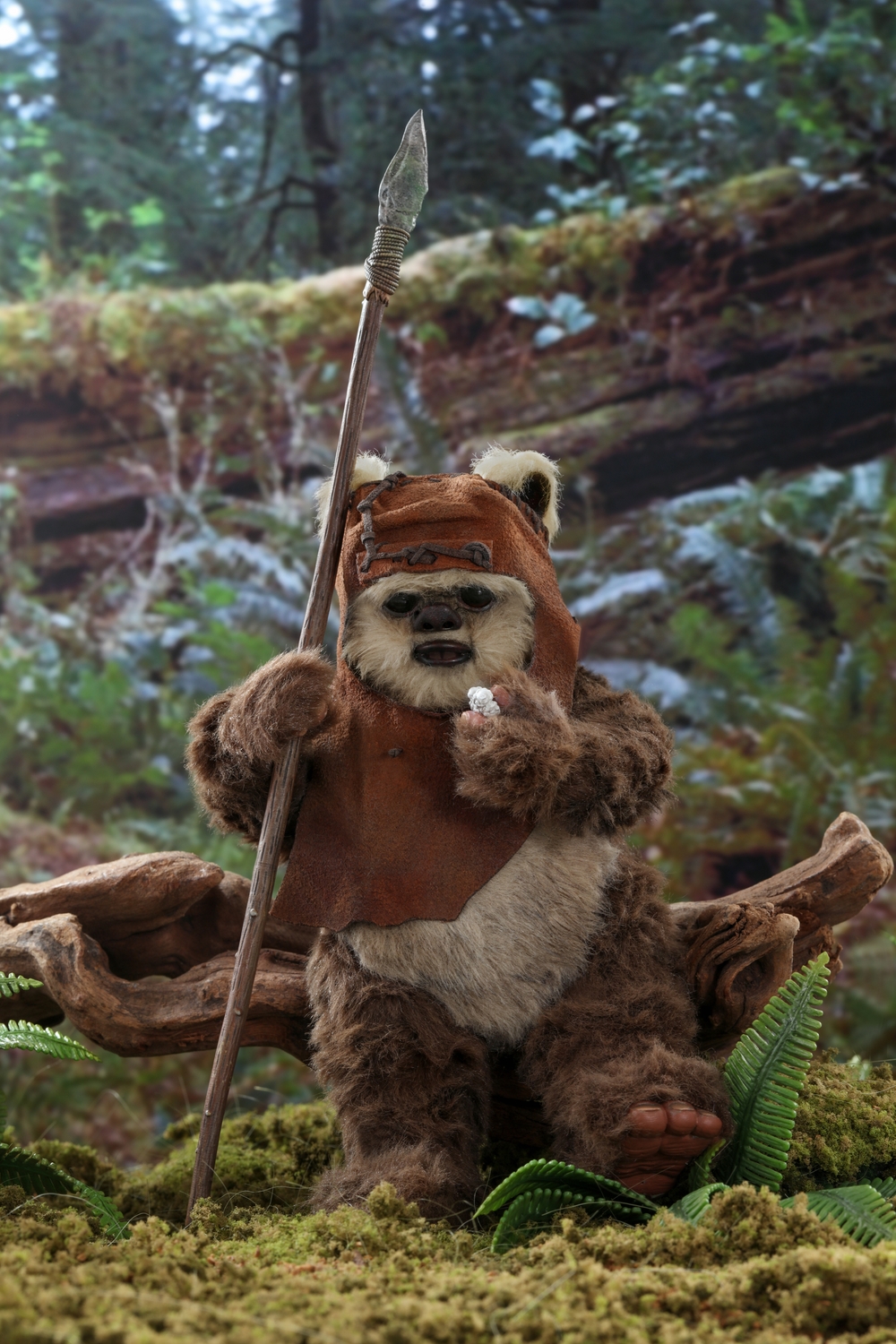 hot-toys-sw6-wicket-mms550-004.jpg