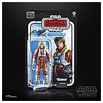 STAR-WARS-THE-BLACK-SERIES-40TH-ANNIVERSARY-6-INCH-LUKE-SKYWALKER-(SNOWSPEEDER)-in-pck.jpg