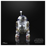 STAR-WARS-THE-BLACK-SERIES-40TH-ANNIVERSARY-6-INCH-R2-D2-(DAGOBAH)---oop-(2).jpg