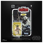 STAR-WARS-THE-BLACK-SERIES-40TH-ANNIVERSARY-6-INCH-YODA---in-pck.jpg