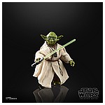 STAR-WARS-THE-BLACK-SERIES-40TH-ANNIVERSARY-6-INCH-YODA---oop-(2).jpg