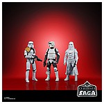 STAR WARS CELEBRATE THE SAGA 3.75-INCH GALACTIC EMPIRE Figure 5-Pack - oop (2).jpg