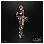 SABINE WREN - oop (1).jpg