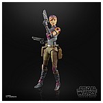 SABINE WREN - oop (2).jpg