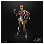 SABINE WREN - oop (3).jpg