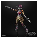 SABINE WREN - oop (4).jpg