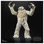 Star-Wars-The-Black-Series-6-Inch-Scale-Hoth-Wampa-Figure-oop-1a.jpg