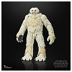 Star-Wars-The-Black-Series-6-Inch-Scale-Hoth-Wampa-Figure-oop-4a.jpg