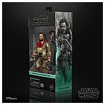 STAR WARS THE BLACK SERIES 6-INCH BAZE MALBUS Figure - in pck (3).jpg