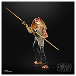 STAR WARS THE BLACK SERIES LUCASFILM 50TH ANNIVERSARY 6-INCH JAR JAR BINKS Figure - oop (1).jpg