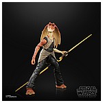 STAR WARS THE BLACK SERIES LUCASFILM 50TH ANNIVERSARY 6-INCH JAR JAR BINKS Figure - oop (2).jpg