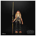 STAR WARS THE BLACK SERIES LUCASFILM 50TH ANNIVERSARY 6-INCH JAR JAR BINKS Figure - oop (3).jpg