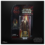 STAR WARS THE BLACK SERIES LUCASFILM 50TH ANNIVERSARY 6-INCH MACE WINDU Figure - in pck (2).jpg