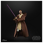 STAR WARS THE BLACK SERIES LUCASFILM 50TH ANNIVERSARY 6-INCH MACE WINDU Figure - oop (1).jpg