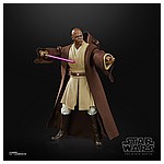 STAR WARS THE BLACK SERIES LUCASFILM 50TH ANNIVERSARY 6-INCH MACE WINDU Figure - oop (2).jpg