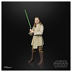 STAR WARS THE BLACK SERIES LUCASFILM 50TH ANNIVERSARY 6-INCH QUI-GON JINN Figure - oop (1).jpg