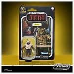 STAR WARS THE VINTAGE COLLECTION LUCASFILM FIRST 50 YEARS 3.75-INCH PAPLOO Figure - in pck.jpg