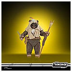 STAR WARS THE VINTAGE COLLECTION LUCASFILM FIRST 50 YEARS 3.75-INCH PAPLOO Figure - oop (2).jpg