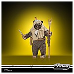 STAR WARS THE VINTAGE COLLECTION LUCASFILM FIRST 50 YEARS 3.75-INCH PAPLOO Figure - oop (3).jpg