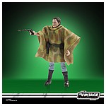 STAR WARS THE VINTAGE COLLECTION LUCASFILM FIRST 50 YEARS 3.75-INCH PRINCESS LEIA (ENDOR) Figure - oop (1).jpg