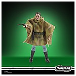 STAR WARS THE VINTAGE COLLECTION LUCASFILM FIRST 50 YEARS 3.75-INCH PRINCESS LEIA (ENDOR) Figure - oop (2).jpg