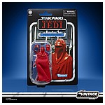 STAR WARS THE VINTAGE COLLECTION 3.75-INCH EMPORER’S ROYAL GUARD Figure - in pck (1).jpg
