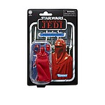 STAR WARS THE VINTAGE COLLECTION 3.75-INCH EMPORER’S ROYAL GUARD Figure - in pck (2).jpg
