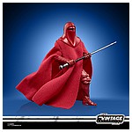 STAR WARS THE VINTAGE COLLECTION 3.75-INCH EMPORER’S ROYAL GUARD Figure - oop (1).jpg