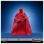 STAR WARS THE VINTAGE COLLECTION 3.75-INCH EMPORER’S ROYAL GUARD Figure - oop (3).jpg