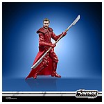 STAR WARS THE VINTAGE COLLECTION 3.75-INCH EMPORER’S ROYAL GUARD Figure - oop (6).jpg